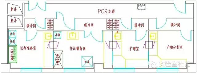 PCR实验室平面布局 