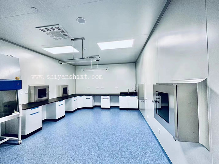 将待传递的物品放置在传递窗的出口侧，确保物品稳定放置。